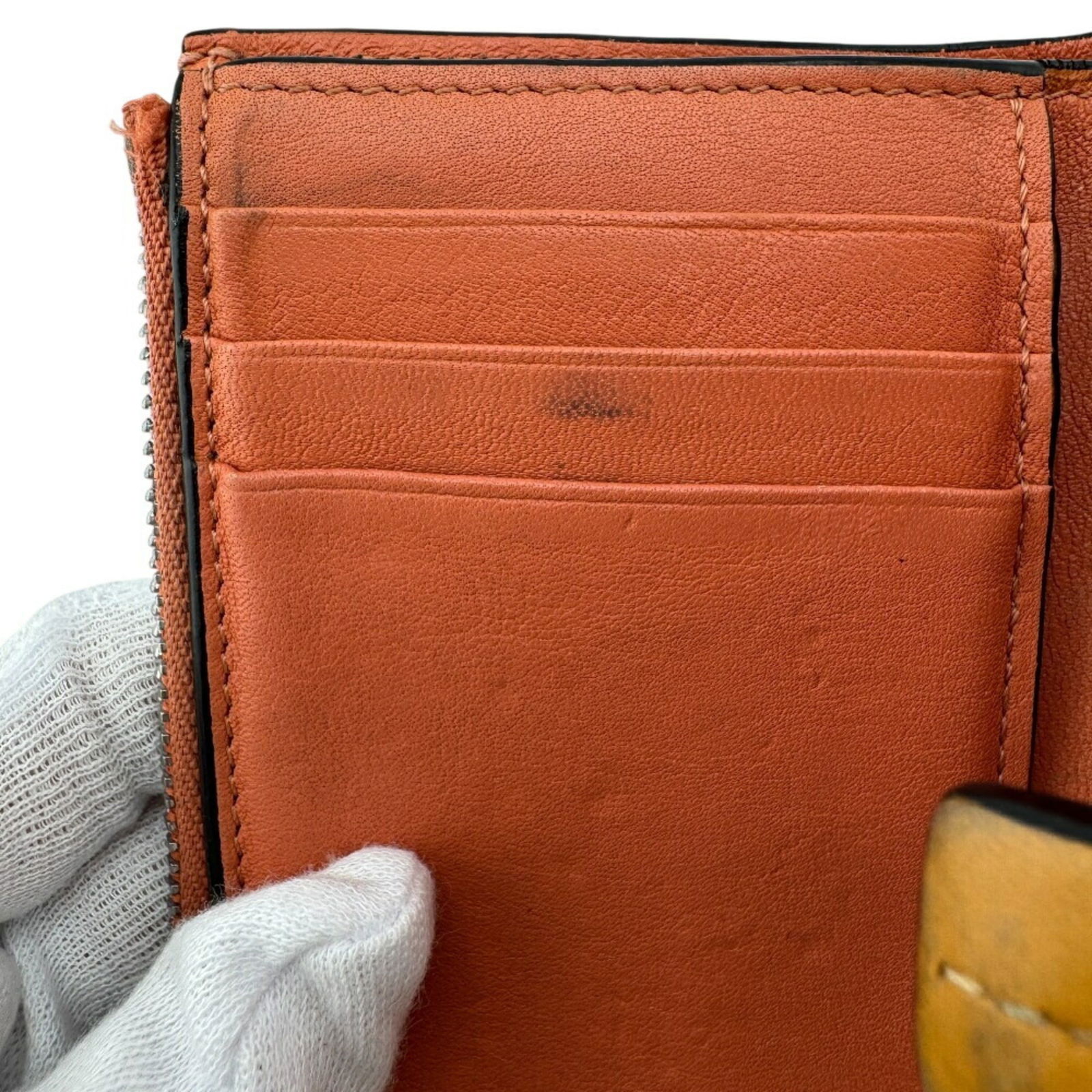 Leather Loewe Wallet (Tri-Fold) - 15