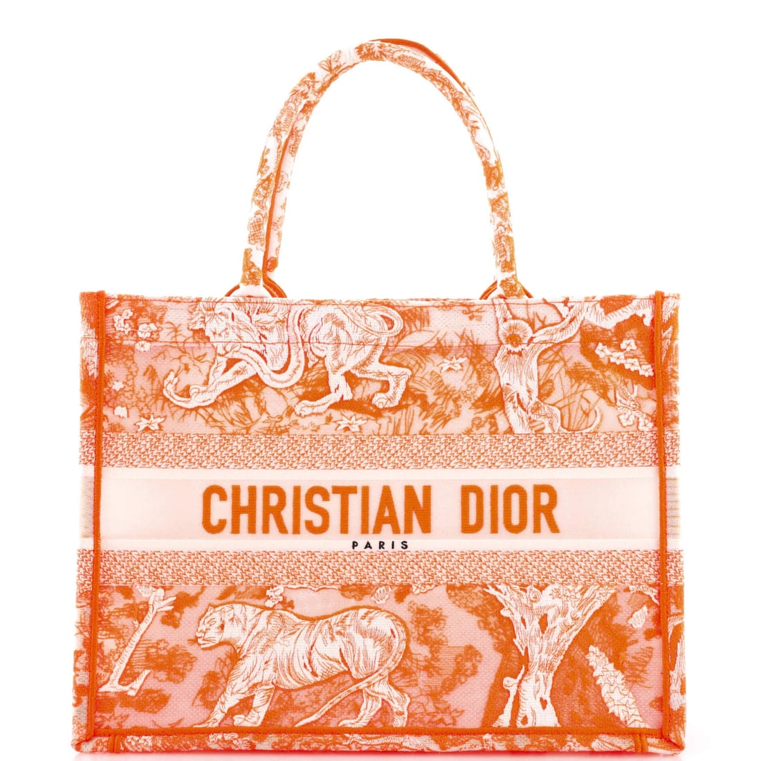 Medium Christian Dior Book Tote Embroidered Canvas (1 of 7)
