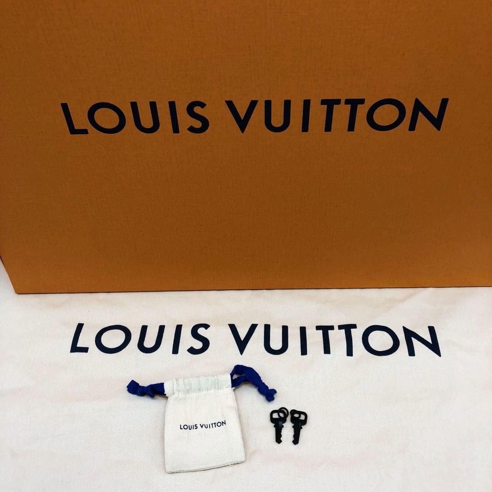 Tote Bag Leather - Louis Vuitton Handbag - 14