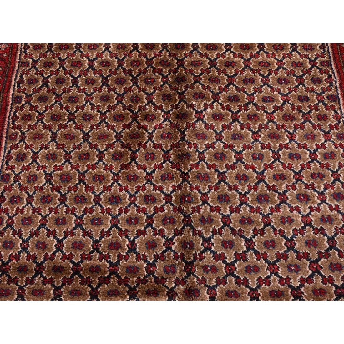Rug 5'x9'6" Brown New Zoroastrian Serrib Pure Wool Hand Knotted Runner - 6
