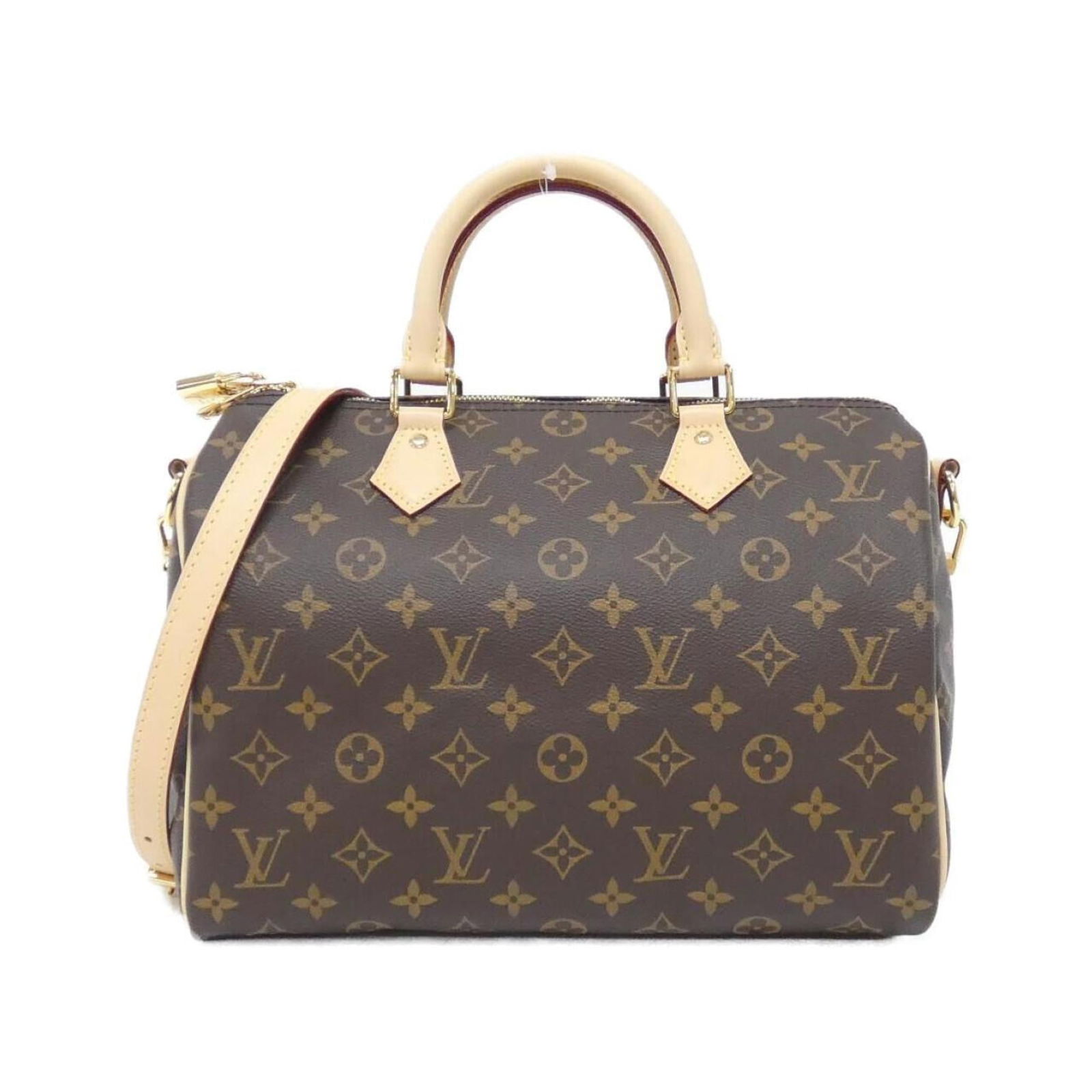 Canvas Louis Vuitton Boston Bag Coated (1 of 5)