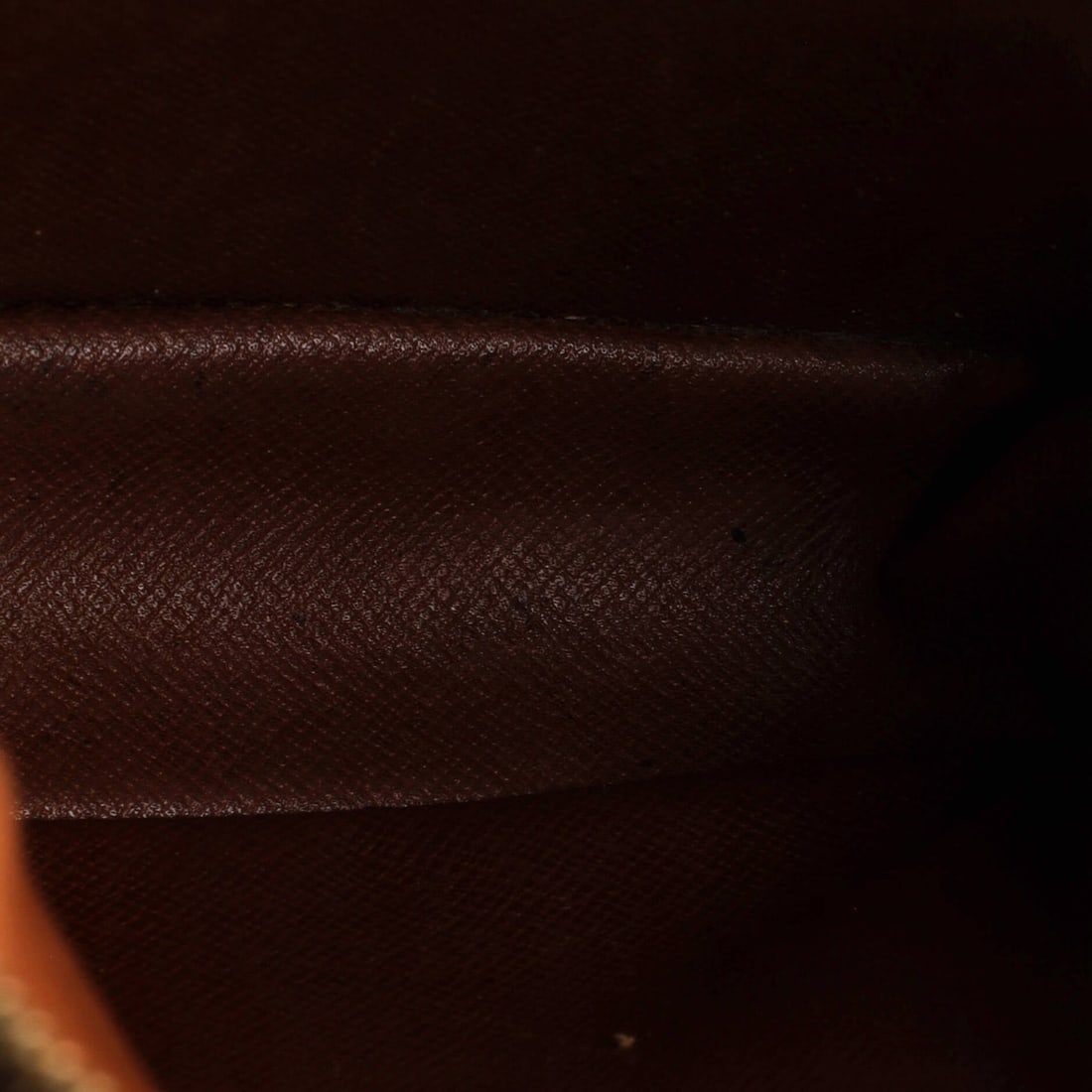 Canvas Louis Vuitton Danube Handbag Monogram - 5