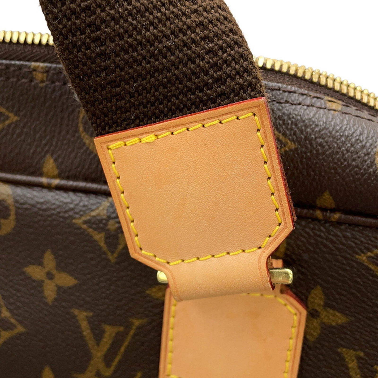 Monogram Louis Vuitton Handbag - 10
