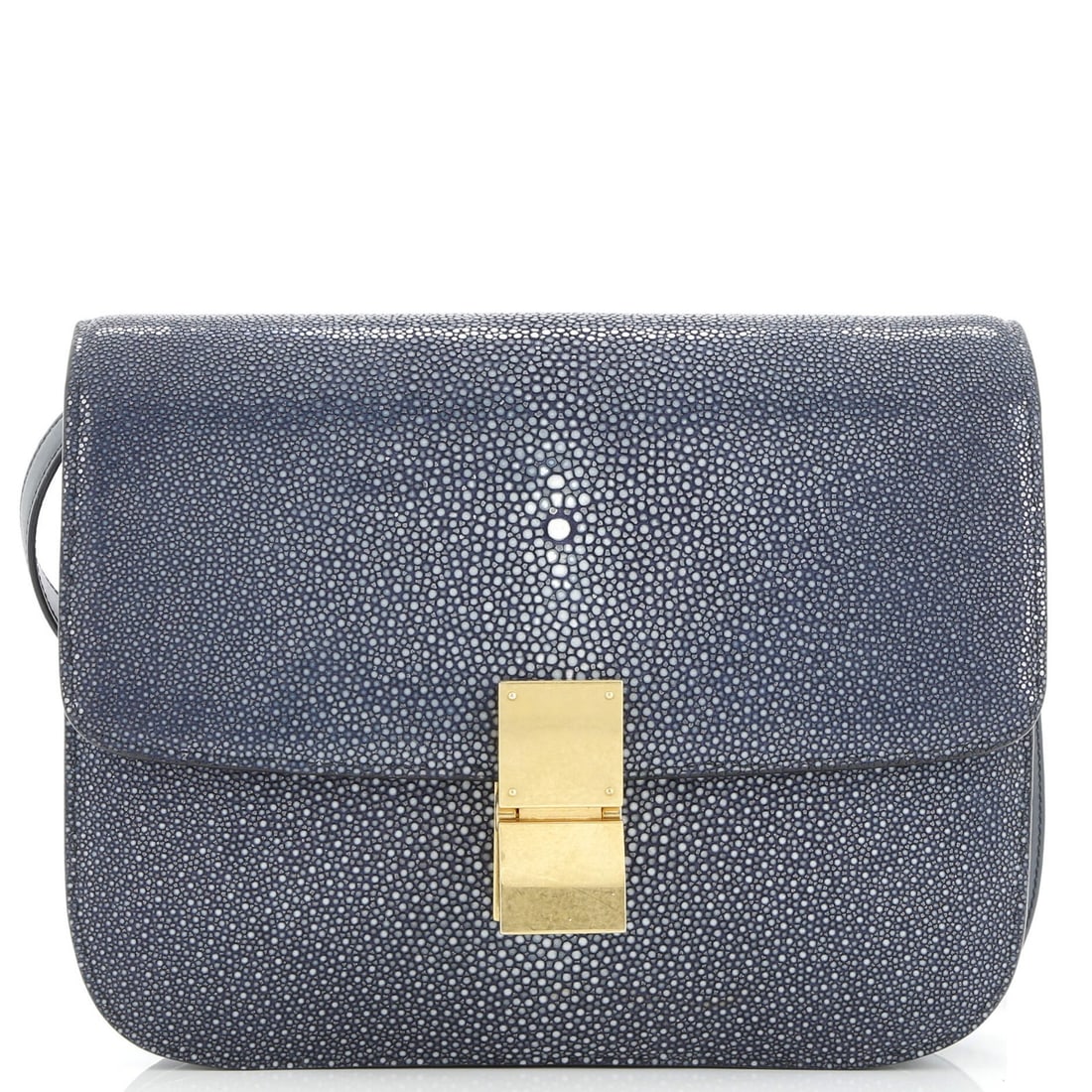 Medium Celine Classic Box Bag Stingray (1 of 7)