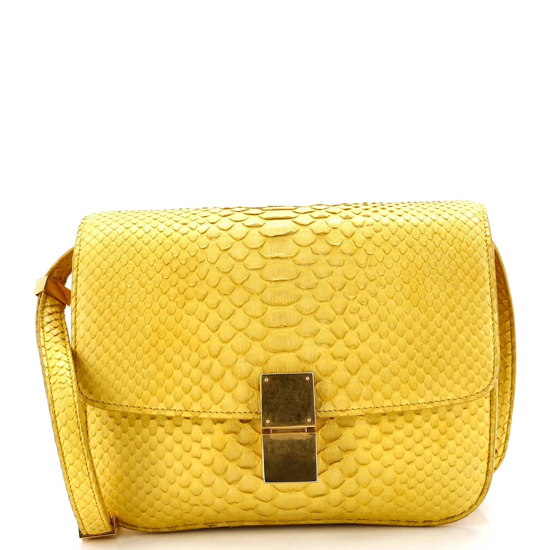 Small Celine Classic Box Bag Python (1 of 6)