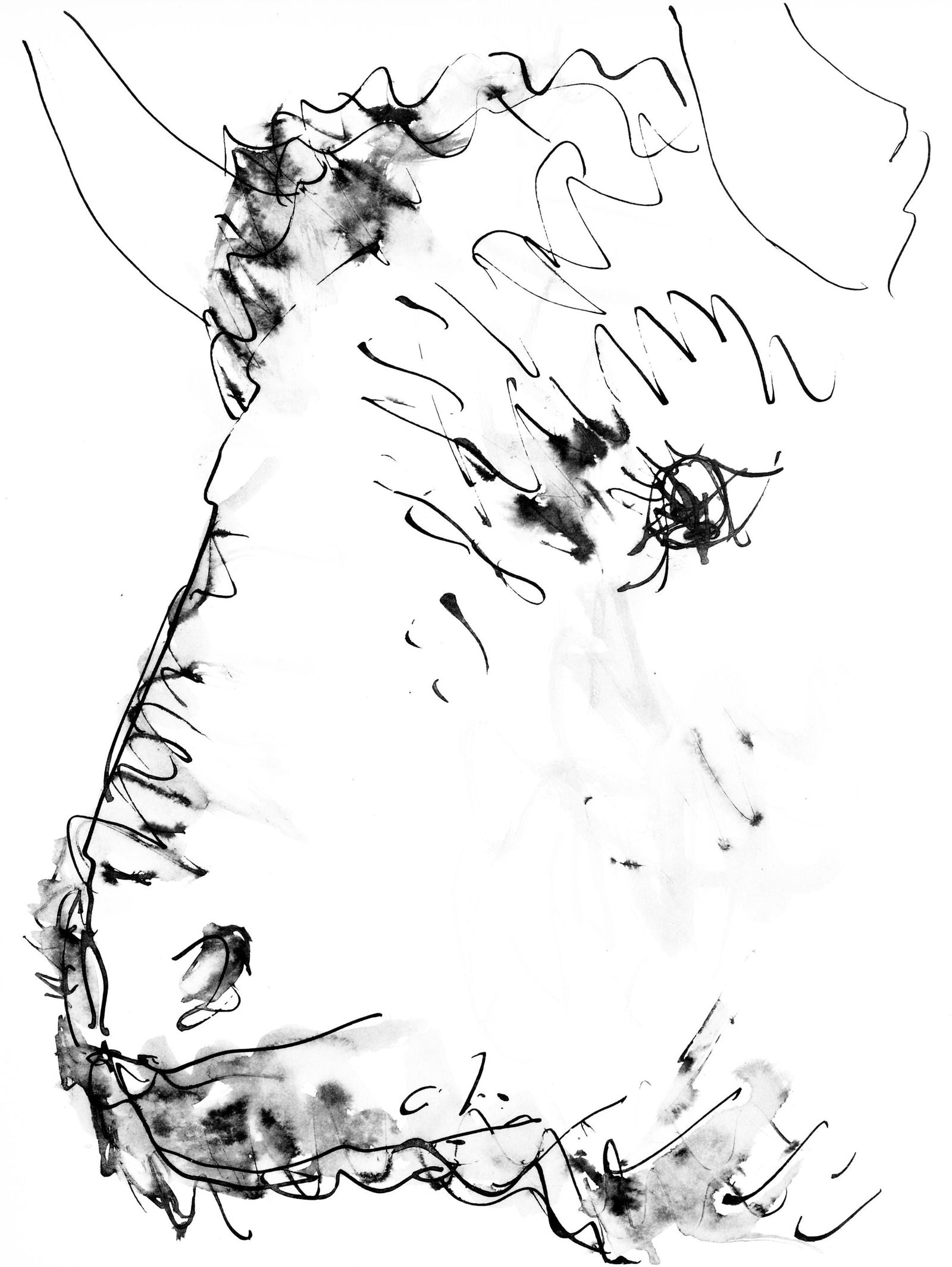 Collotype - Pablo Picasso - Tte de taureau (Cramer 84; Johnson/ Stein 77) - 40 dessins de Picasso: Collotype - Pablo Picasso - Tte de taureau (Cramer 84; Johnson/ Stein 77) - 40 dessins de Picasso en marge du Buffon This listing features Collotype - Pablo Picasso - Tte de taureau (Cramer 84;