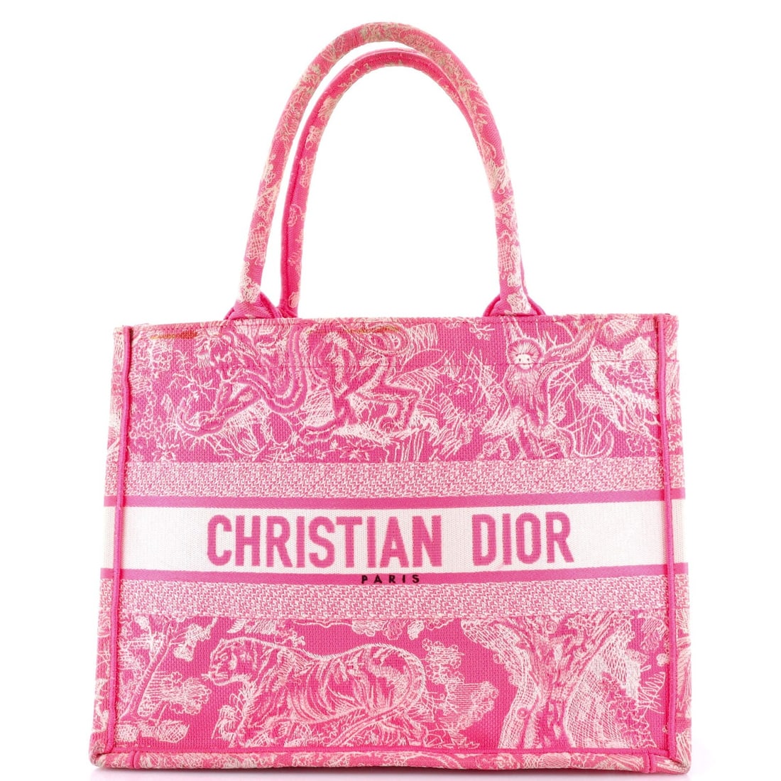 Medium Christian Dior Book Tote Embroidered Canvas (1 of 7)