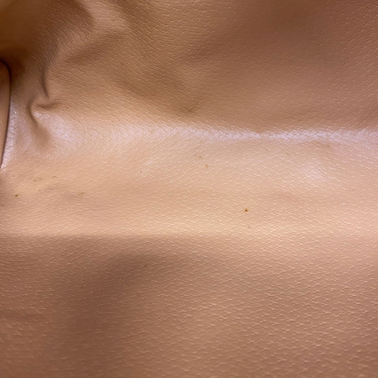 Pvc Celine Pouch - 9