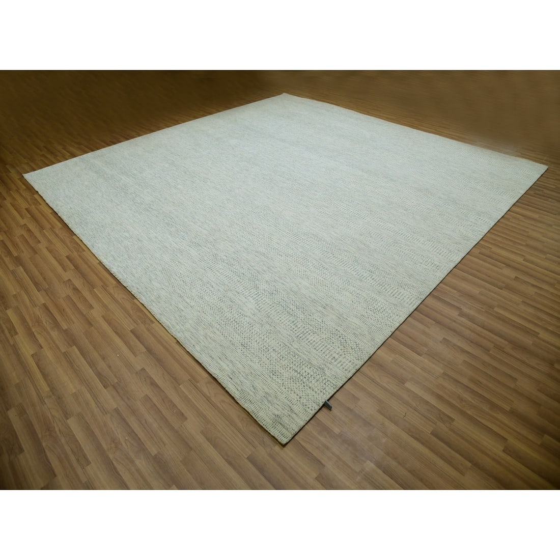 Rug 12'x12' Ivory Wool Modern Square Grass Design Hand Knotted Oriental - 3