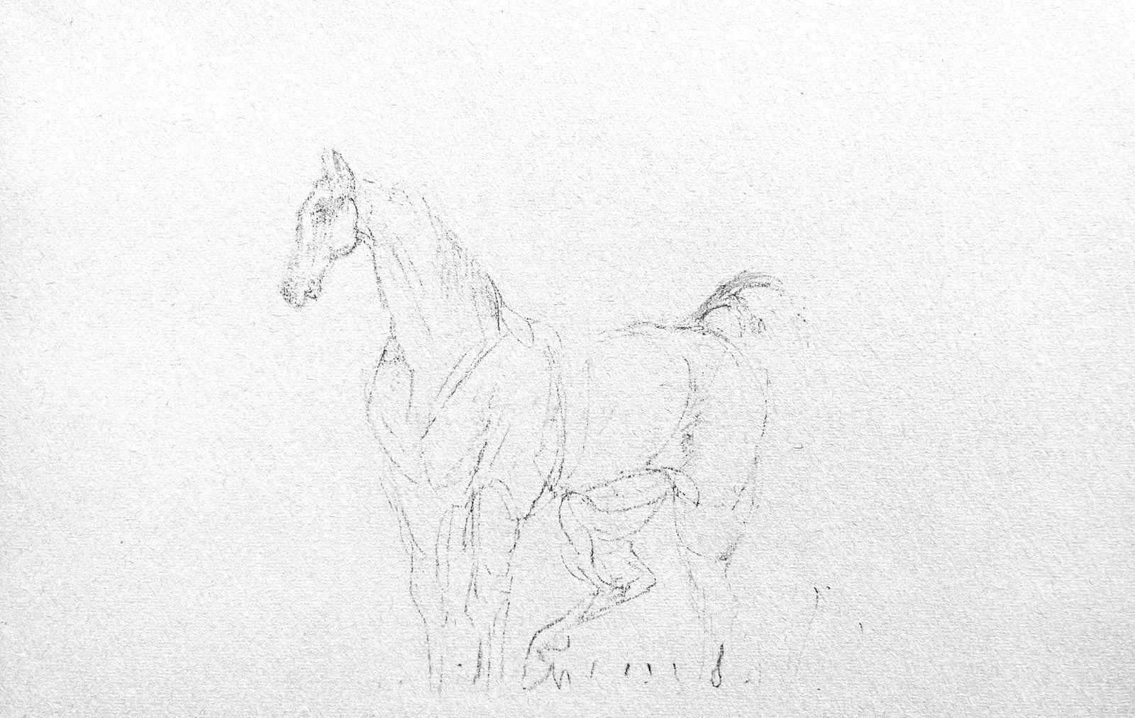 Lithograph - Henri de Toulouse-Lautrec - Composition - Toulouse-Lautrec - Album De Marine (1 of 7)