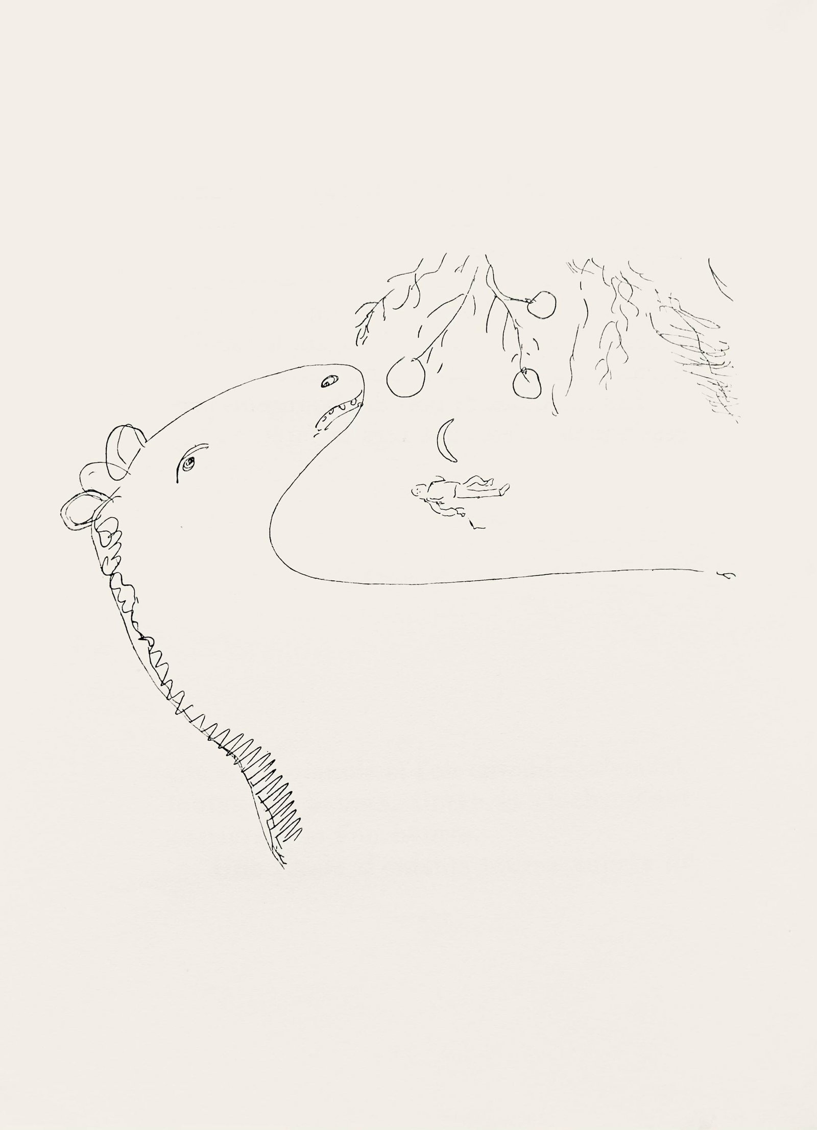 Lithograph - Marc Chagall - Composition - Suite Provinciale avec 92 dessins indits de Marc Chagall: Lithograph - Marc Chagall - Composition - Suite Provinciale avec 92 dessins indits de Marc Chagall This listing features Lithograph - Marc Chagall - Composition - Suite Provinciale avec 92 dessins