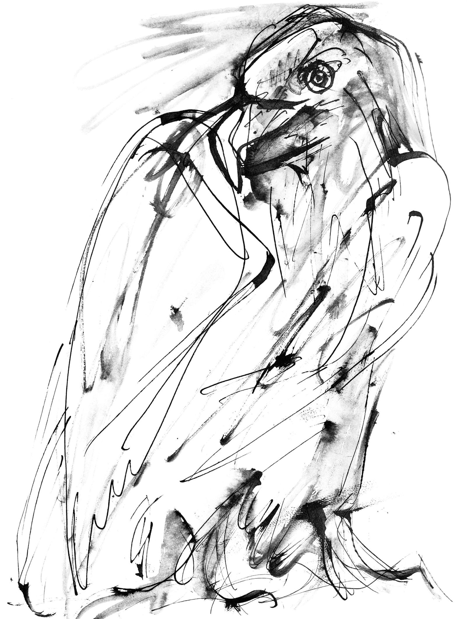 Collotype - Pablo Picasso - Un aigle (Cramer 84; Johnson/ Stein 77) - 40 dessins de Picasso en: Collotype - Pablo Picasso - Un aigle (Cramer 84; Johnson/ Stein 77) - 40 dessins de Picasso en marge du Buffon This listing features Collotype - Pablo Picasso - Un aigle (Cramer 84; Johnson/ Stein 77)