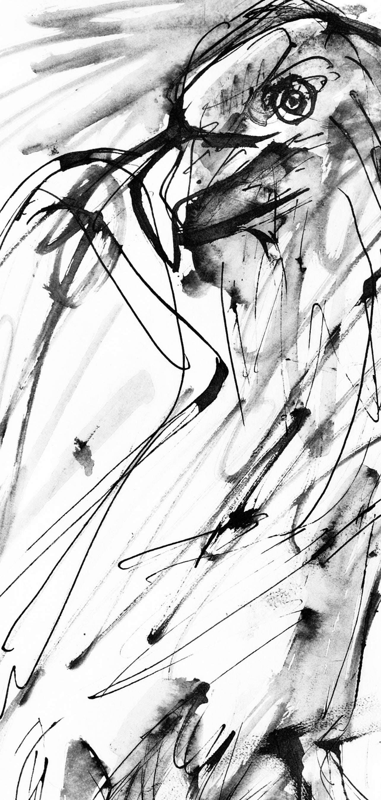 Collotype - Pablo Picasso - Un aigle (Cramer 84; Johnson/ Stein 77) - 40 dessins de Picasso en - 3