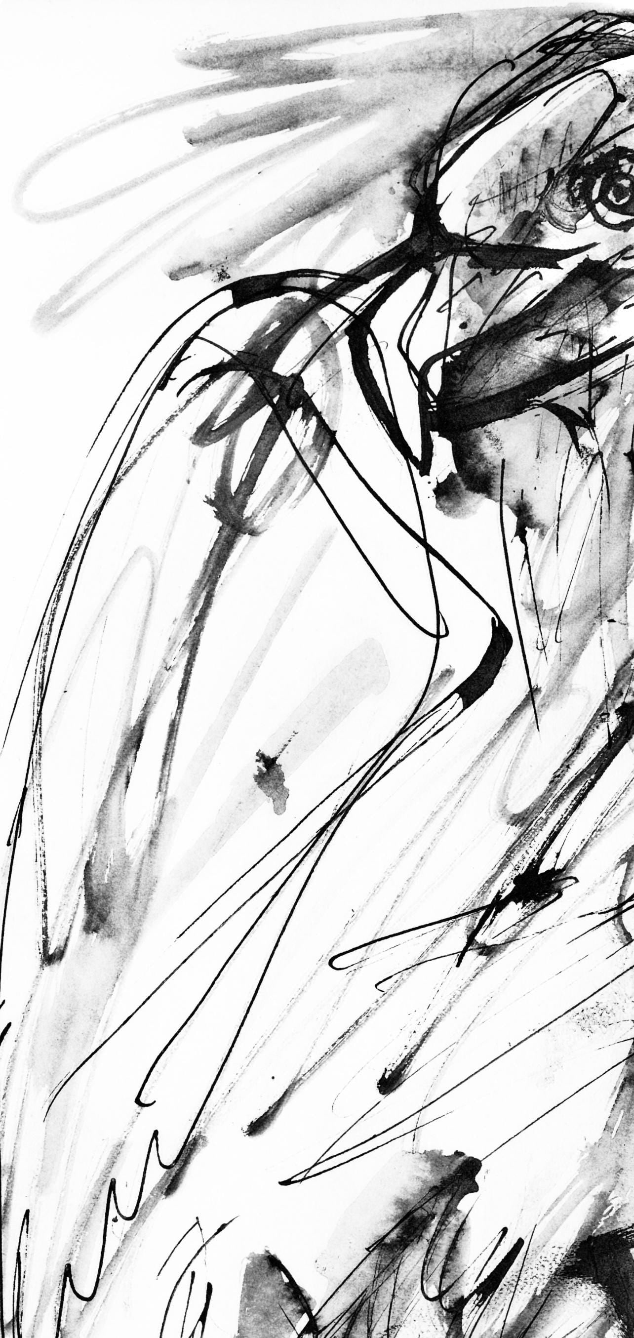 Collotype - Pablo Picasso - Un aigle (Cramer 84; Johnson/ Stein 77) - 40 dessins de Picasso en - 4