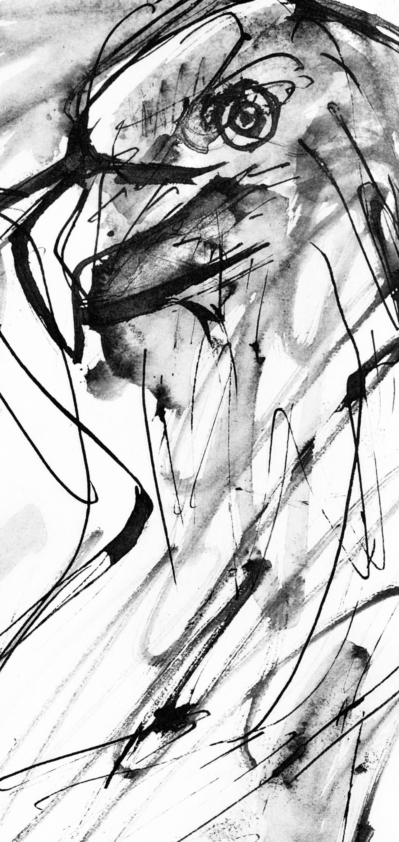 Collotype - Pablo Picasso - Un aigle (Cramer 84; Johnson/ Stein 77) - 40 dessins de Picasso en - 5