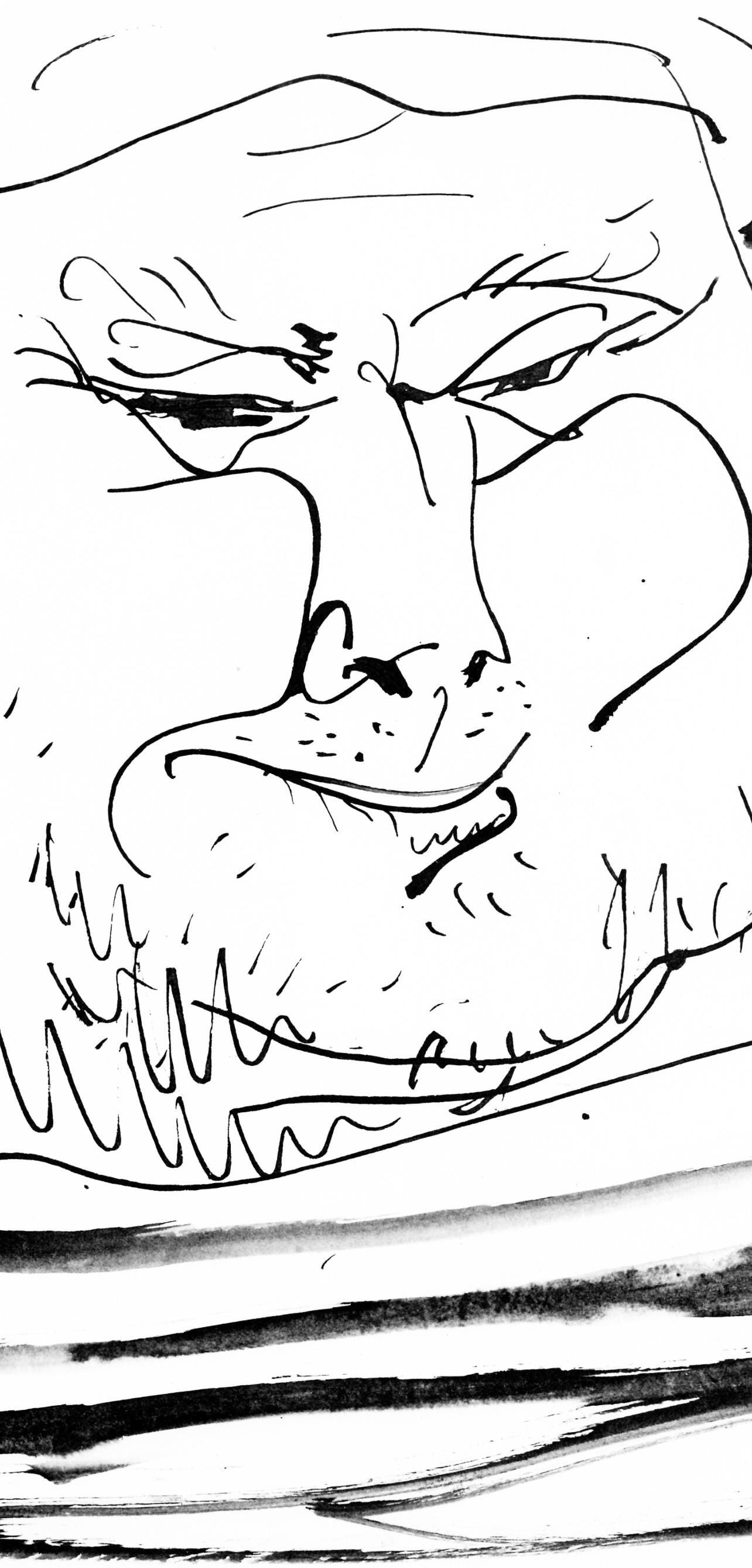 Collotype - Pablo Picasso - Visage de vieux marin (Cramer 84; Johnson/ Stein 77) - 40 dessins de - 2