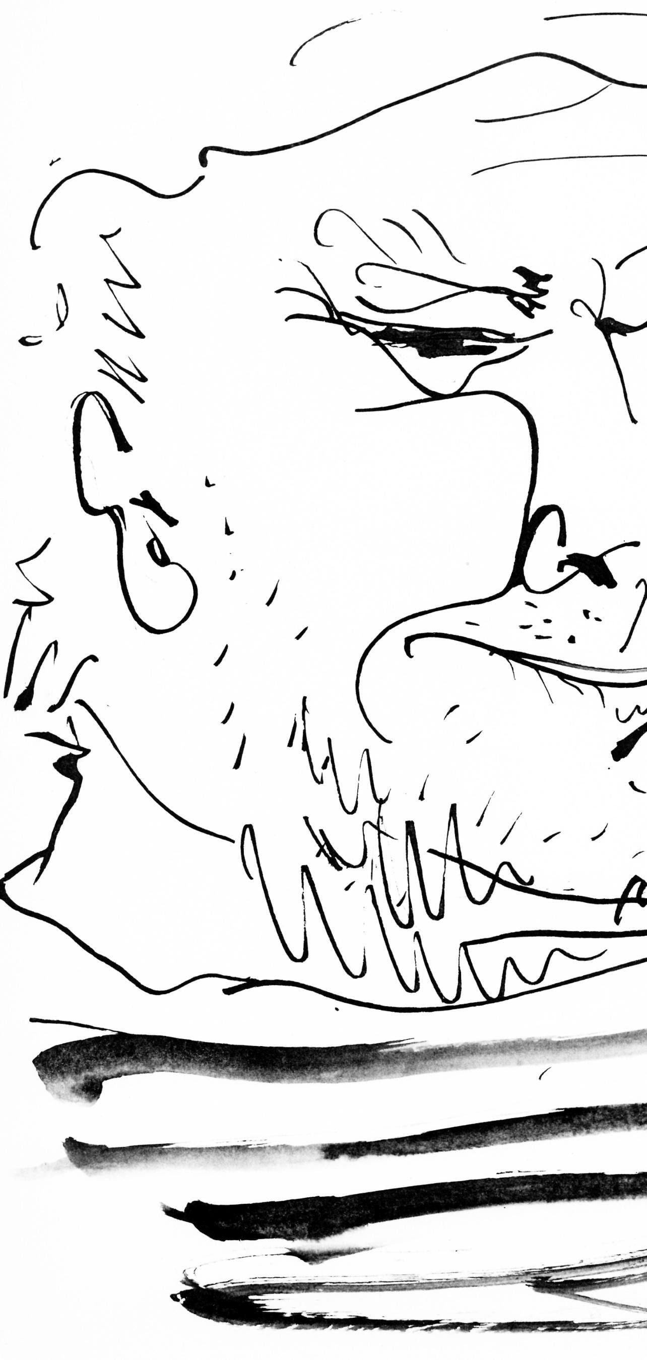 Collotype - Pablo Picasso - Visage de vieux marin (Cramer 84; Johnson/ Stein 77) - 40 dessins de - 3