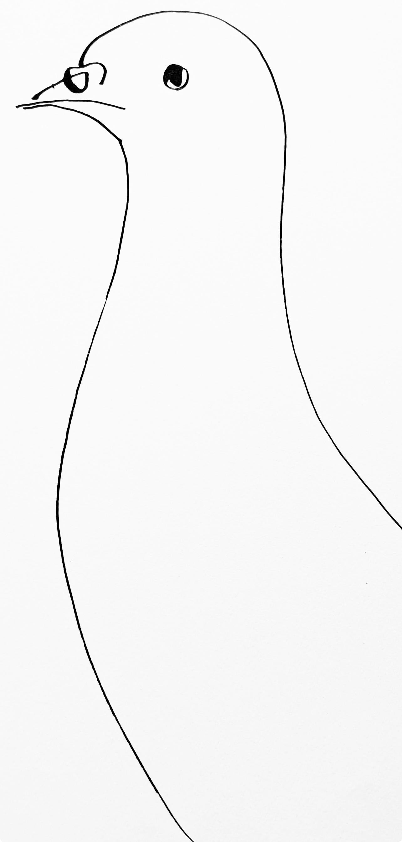 Collotype - Pablo Picasso - Pigeon (Cramer 84; Johnson/ Stein 77) - 40 dessins de Picasso en marge - 2