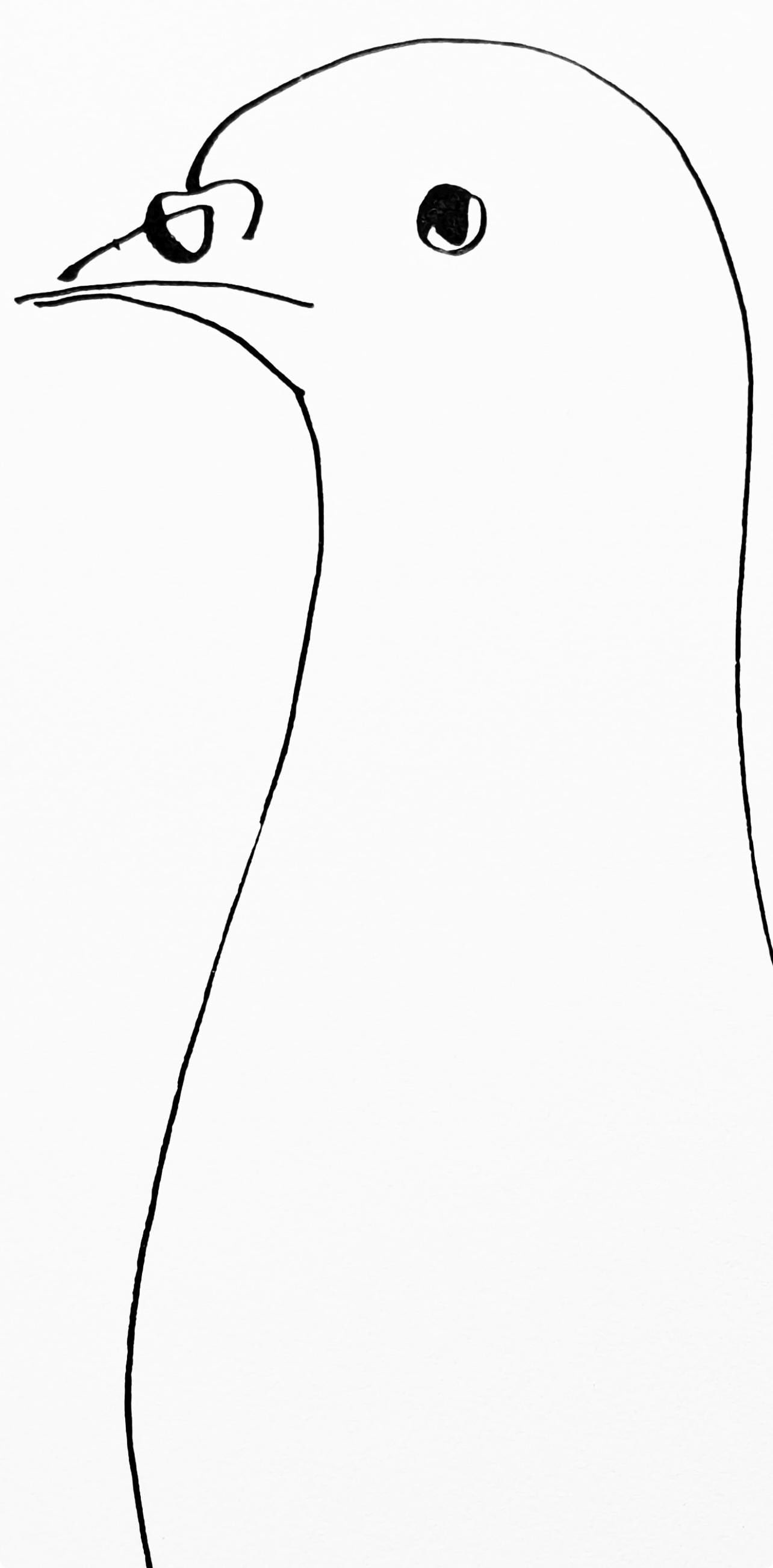 Collotype - Pablo Picasso - Pigeon (Cramer 84; Johnson/ Stein 77) - 40 dessins de Picasso en marge - 3