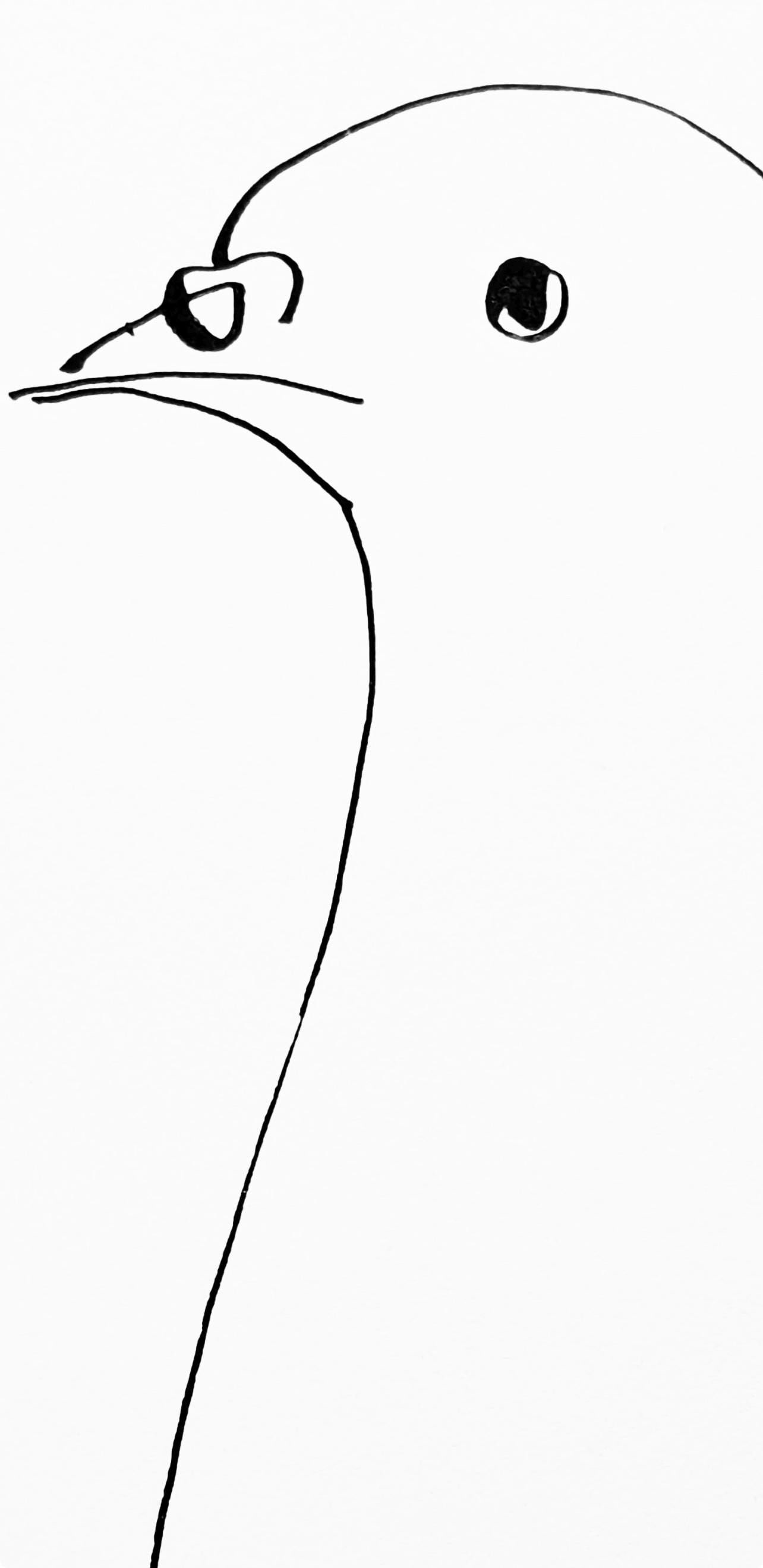 Collotype - Pablo Picasso - Pigeon (Cramer 84; Johnson/ Stein 77) - 40 dessins de Picasso en marge - 4