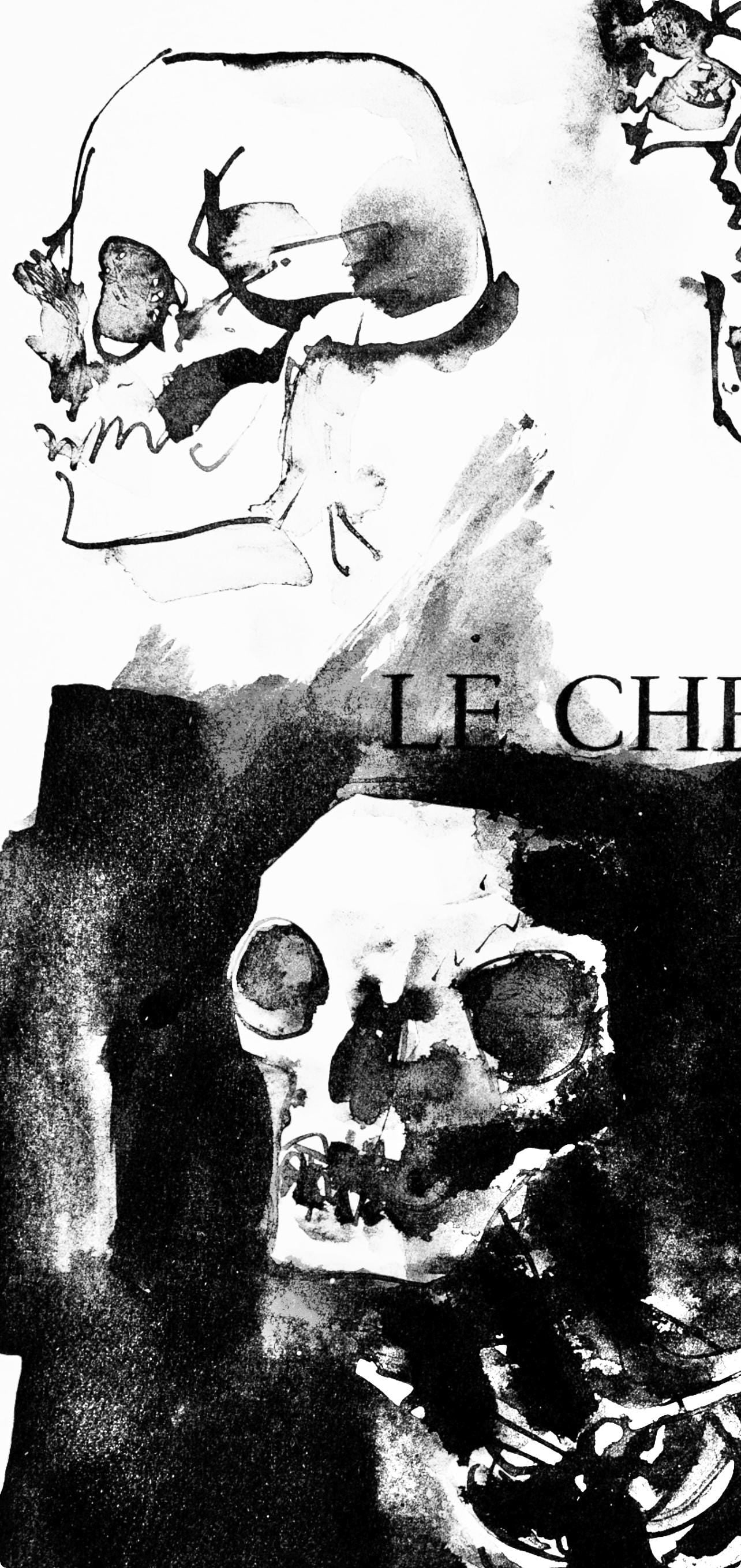 Collotype - Pablo Picasso - Crnes et squelettes d'oiseaux (Cramer 84; J./ S. 77) - 40 dessins de - 2