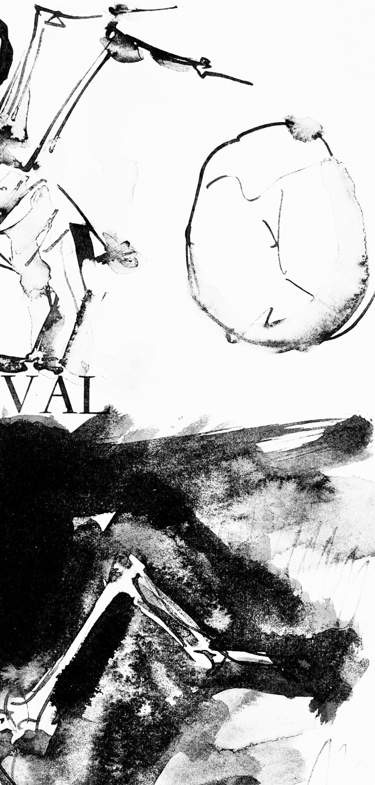 Collotype - Pablo Picasso - Crnes et squelettes d'oiseaux (Cramer 84; J./ S. 77) - 40 dessins de - 4