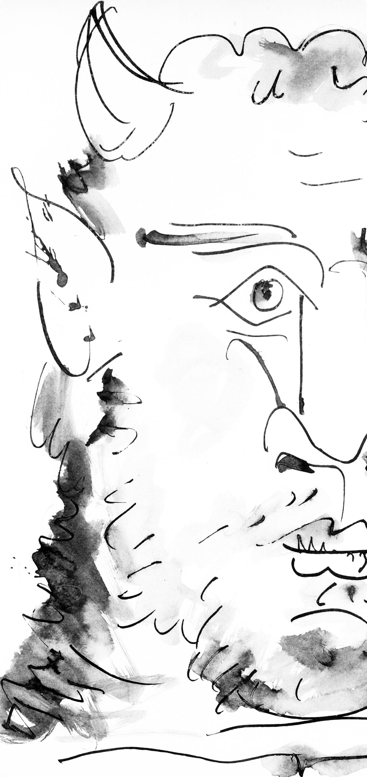 Collotype - Pablo Picasso - Visage de faune (Cramer 84; Johnson/ Stein 77) - 40 dessins de Picasso - 3