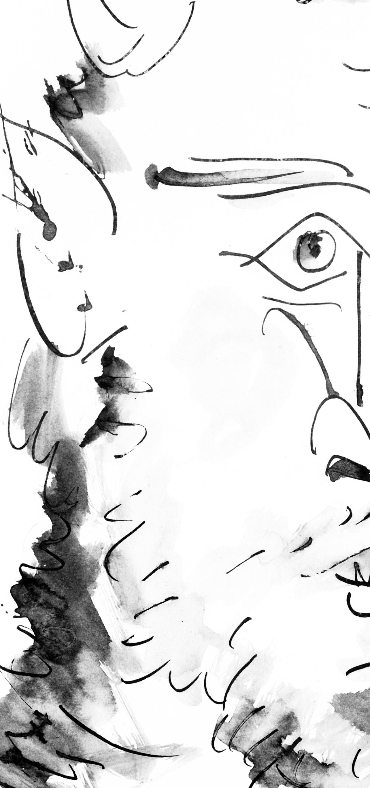 Collotype - Pablo Picasso - Visage de faune (Cramer 84; Johnson/ Stein 77) - 40 dessins de Picasso - 5