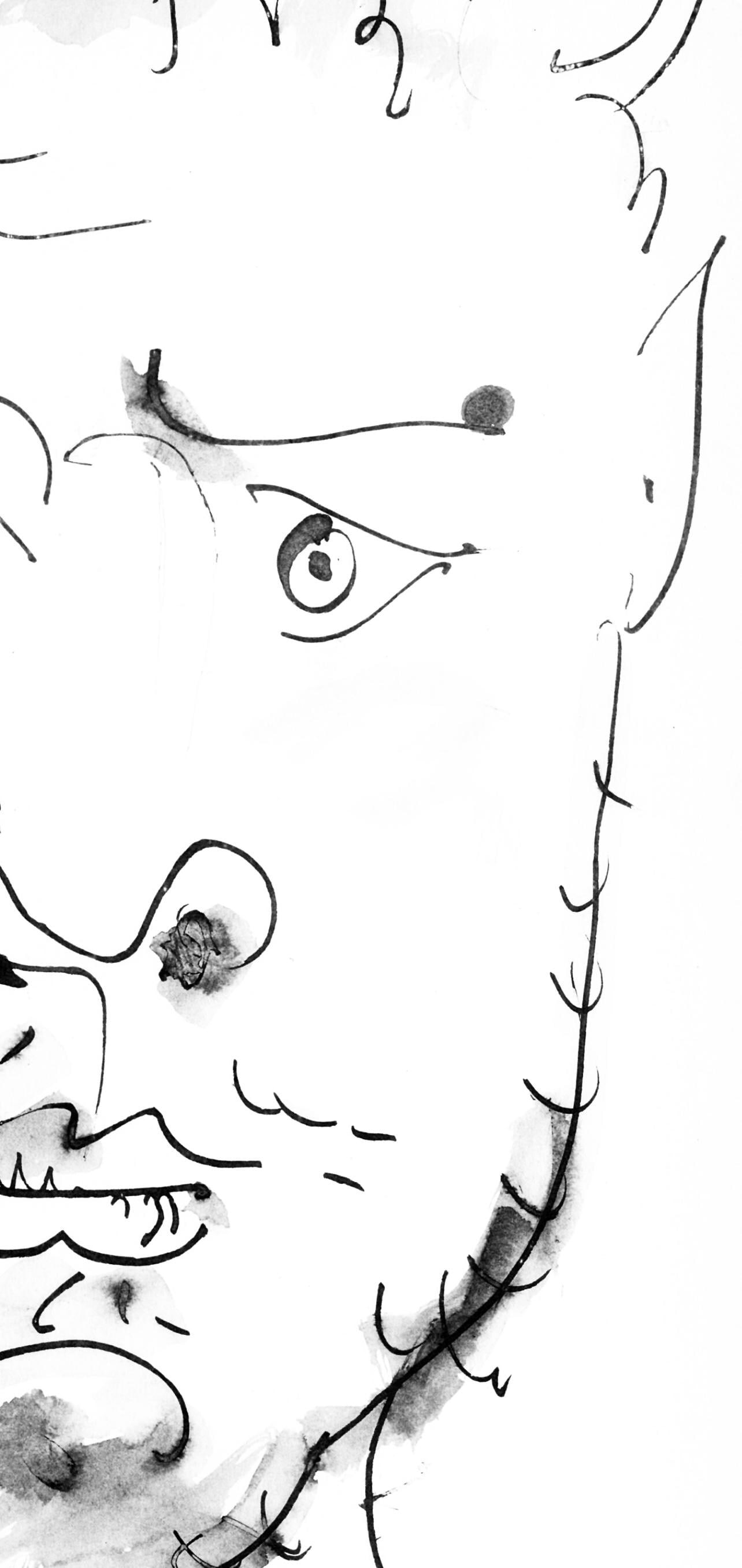 Collotype - Pablo Picasso - Visage de faune (Cramer 84; Johnson/ Stein 77) - 40 dessins de Picasso - 6