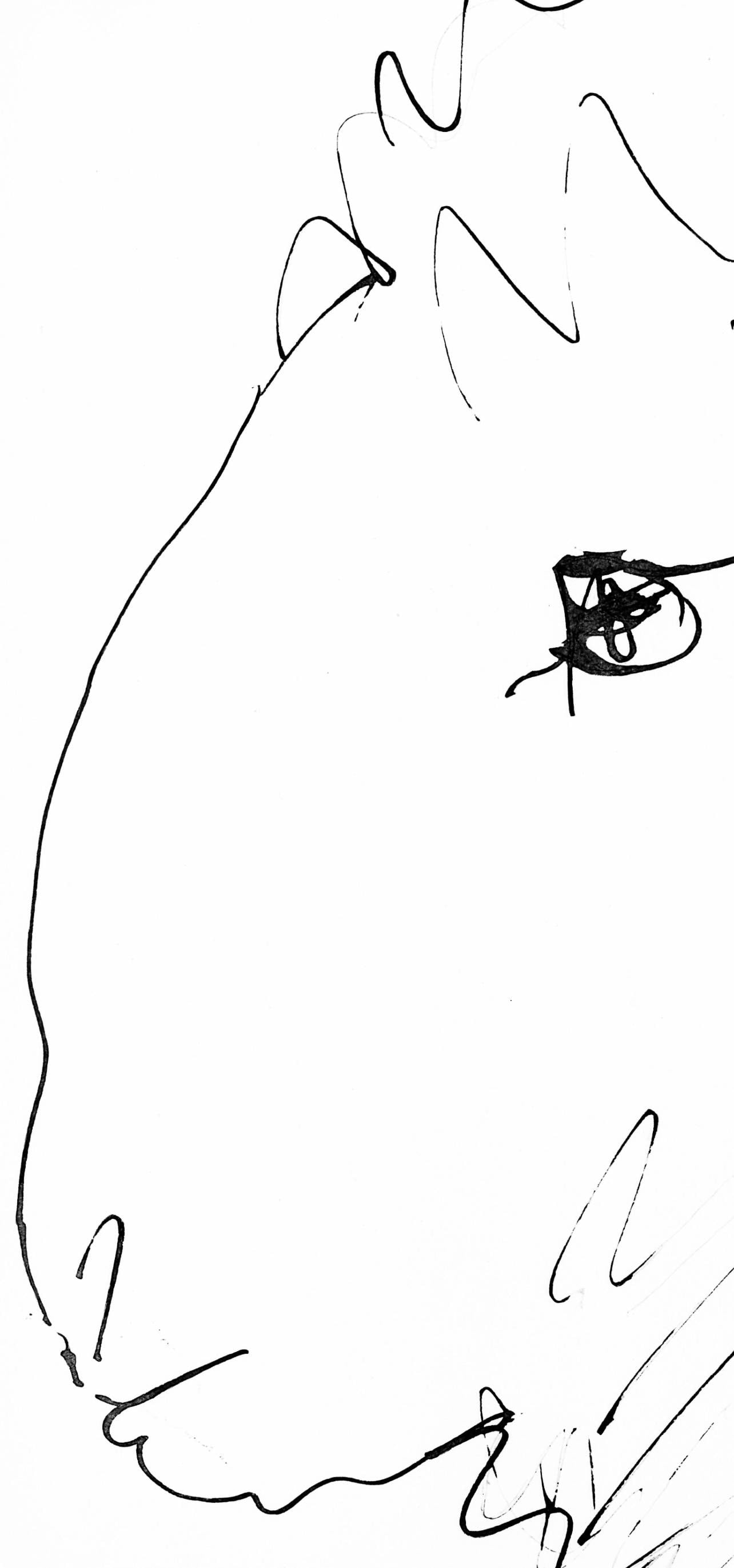 Collotype - Pablo Picasso - Tte de blier (Cramer 84; Johnson/ Stein 77) - 40 dessins de Picasso en - 3