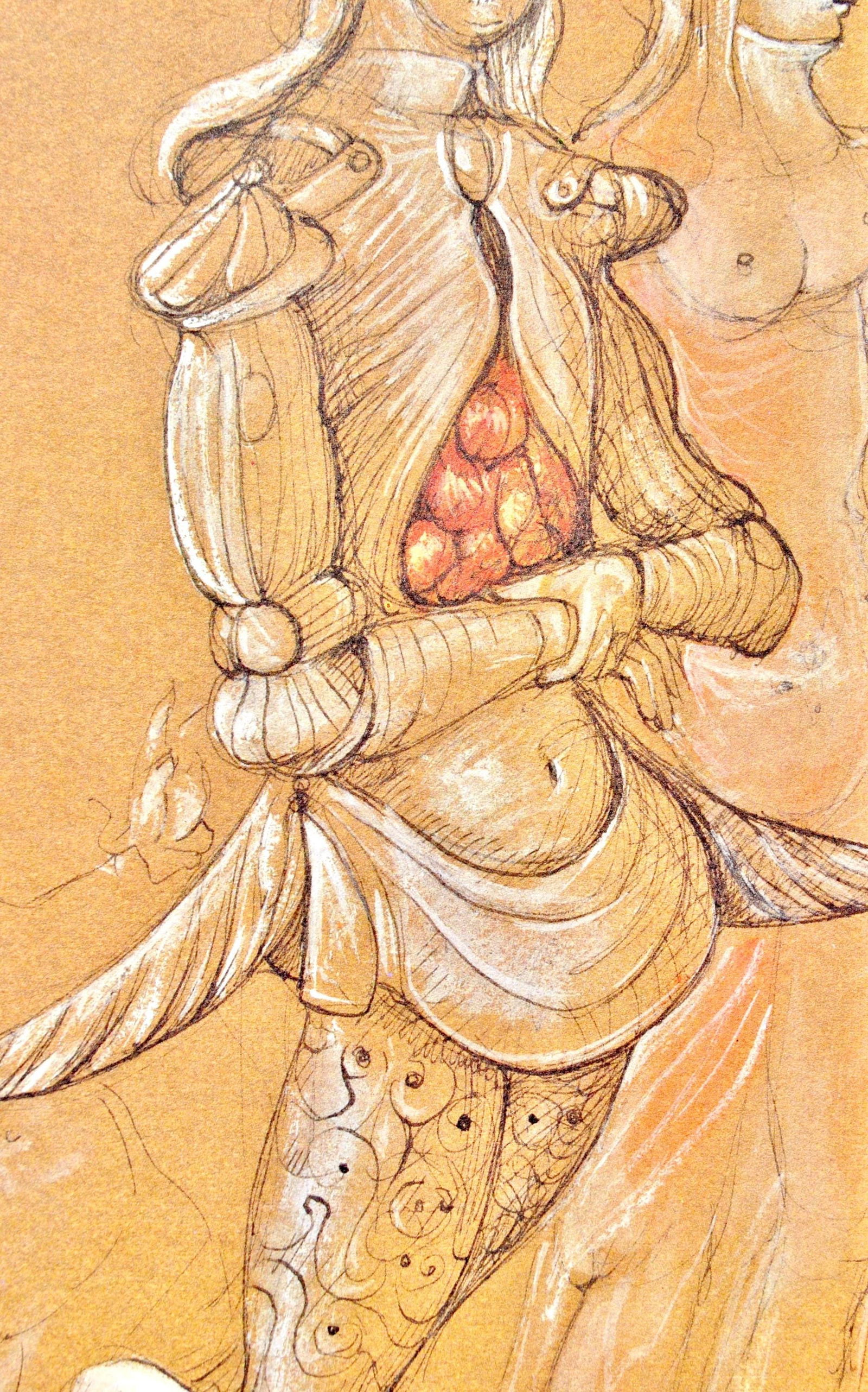 Hliogravure - Lonor Fini - Composition - Fruits de la Passion - XXe sicle - 4