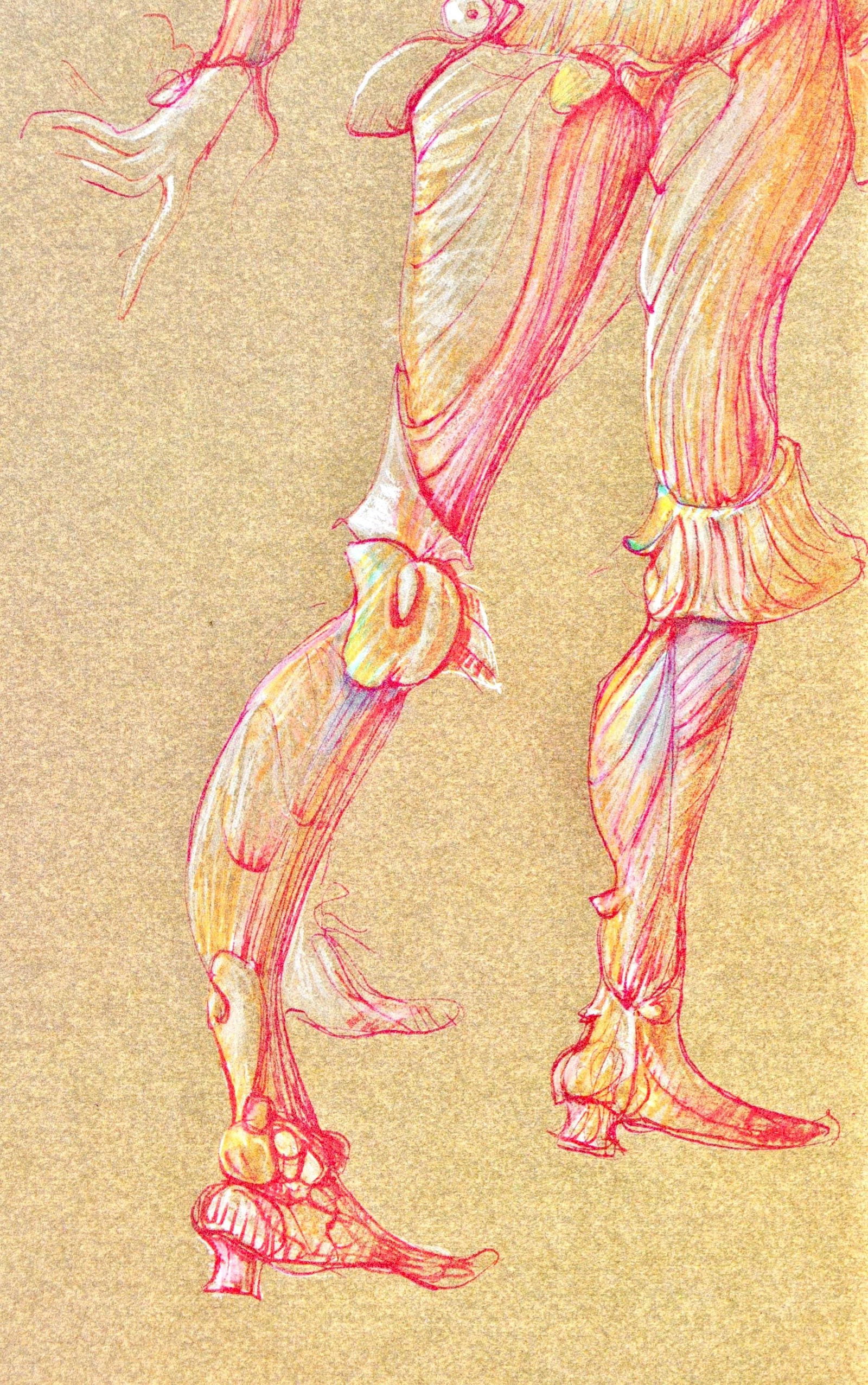 Hliogravure - Lonor Fini - Composition - Fruits de la Passion - XXe sicle - 4