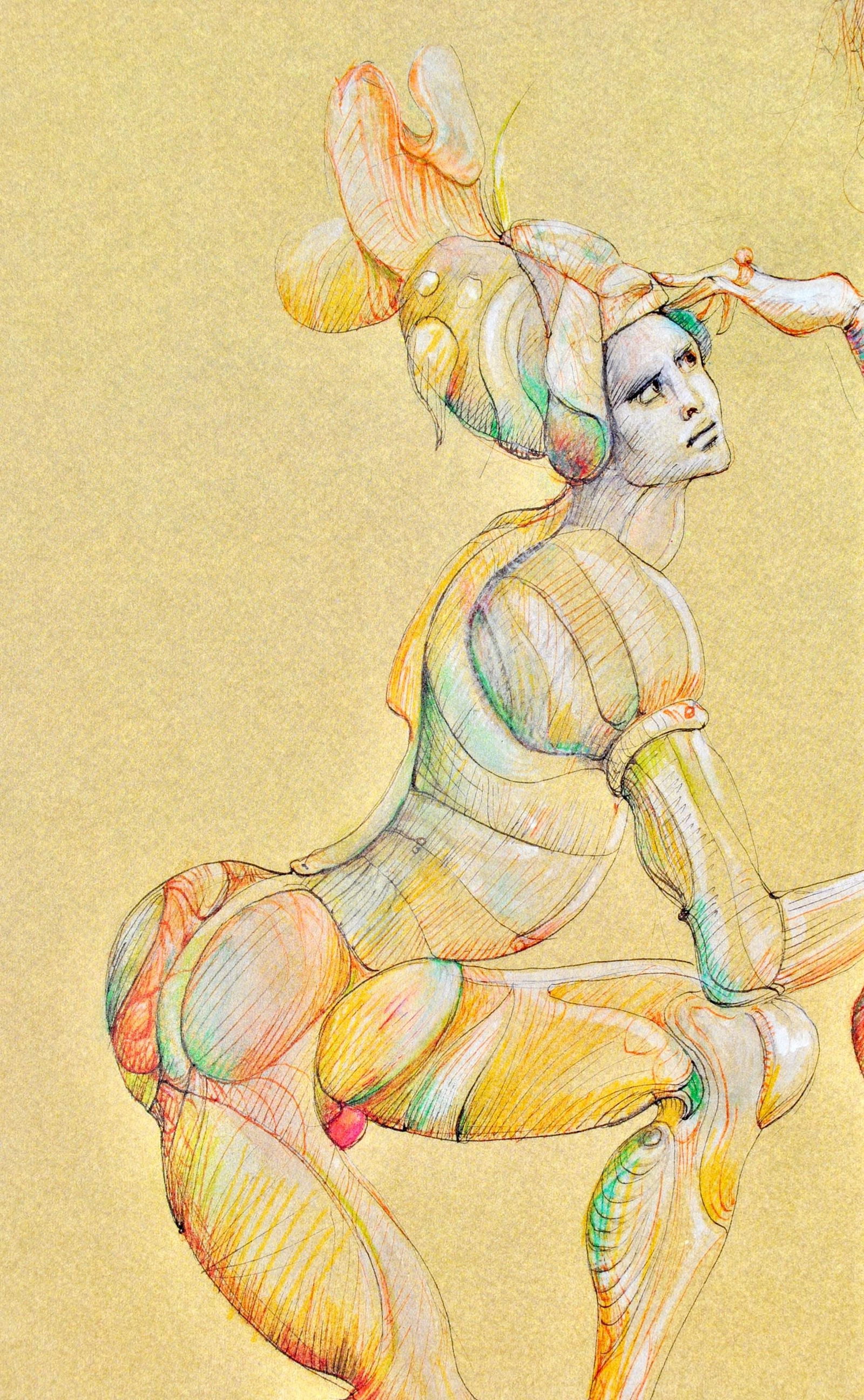 Hliogravure - Lonor Fini - Composition - Fruits de la Passion - XXe sicle - 2