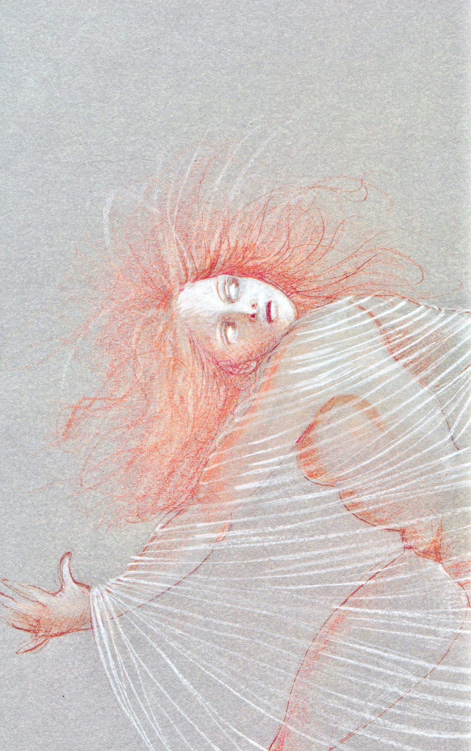 Hliogravure - Lonor Fini - Composition - Fruits de la Passion - XXe sicle - 3