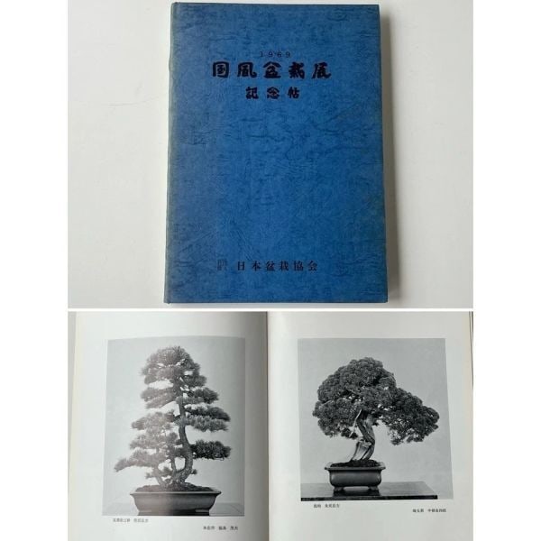 1969 Photo Collection - 43th Kokufu Bonsai Exhibition (1 of 10)