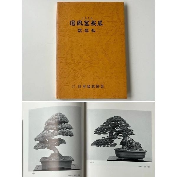1970 Photo Collection - 44th Kokufu Bonsai Exhibition (1 of 10)