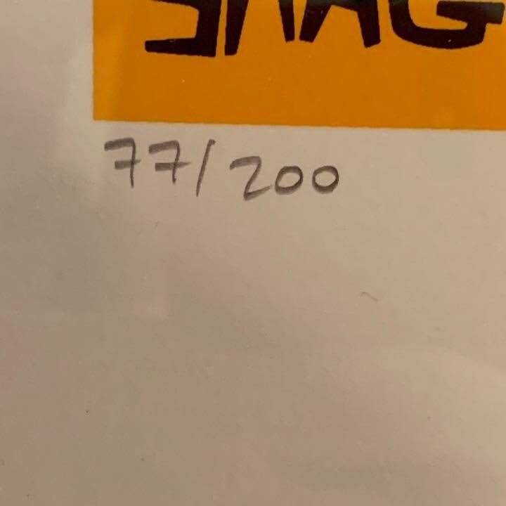 #004 Shag Silkscreen Poster Edition Autographed. - 5