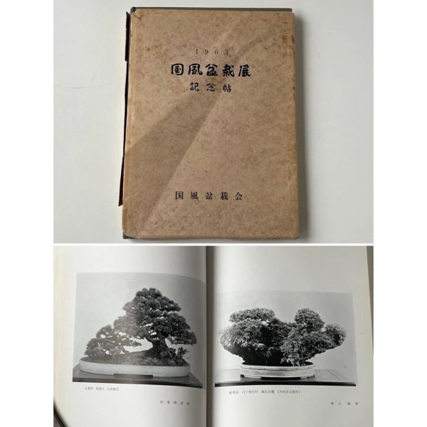 1963 Photo Collection - 37th Kokufu Bonsai Exhibition (1 of 9)