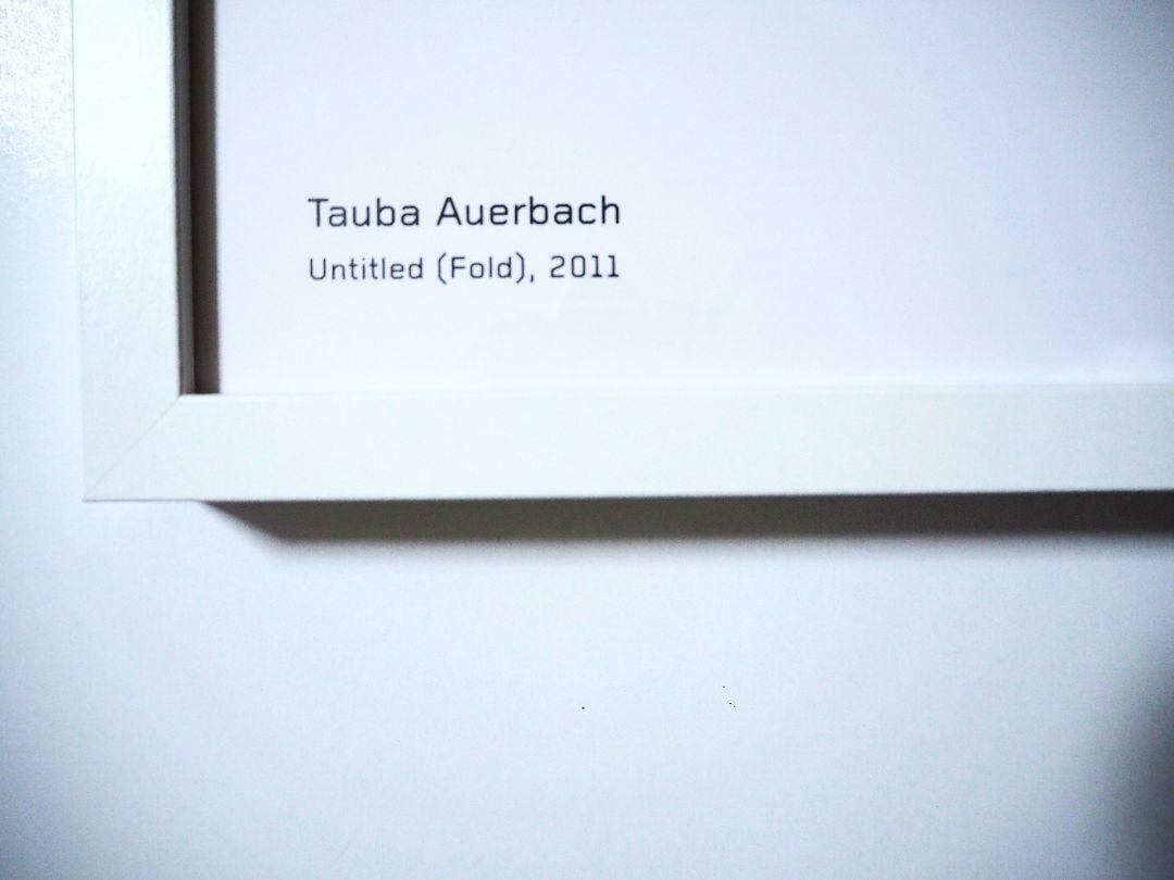 poster Tauba Auerbach - 3