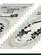 Silver Eagles - 2025-S $1 Silver Eagle CACG PR70DCAM (Navy Privy): Silver Eagles - 2025-S $1 Silver Eagle CACG PR70DCAM (Navy Privy) This listing features Silver Eagles - 2025-S $1 Silver Eagle CACG PR70DCAM (Navy Privy). Item specifics are provided below. Item