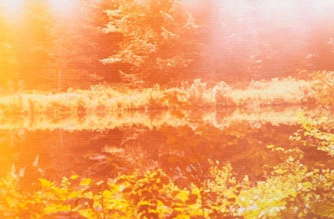 Signed Mark Borthwick 2012 Canvas Silkscreen ED100 (1 of 3)