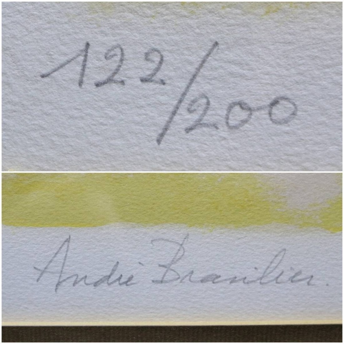 COA Andre Brasilier Original Lithograph "Black Horse" Signed Framed ED200 with - 8