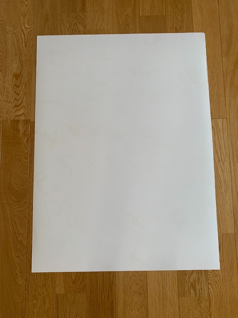 Poster Cy Twombly Poster 2008 Roman Gagosian Gallery - 7