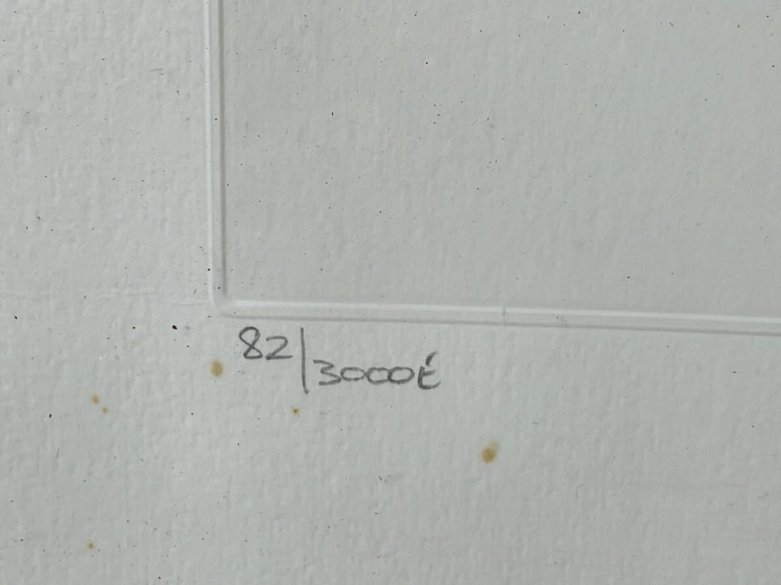 Framed John Lennon "JOHN LENNON-THE HUG" 82/ 3000Yoko Ono Lithograph Poster - 4