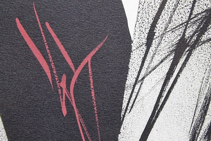 Edition Toko Shinoda [Tonbana Antho Logy] 1997 Hand-colored Lithograph Signed - 3