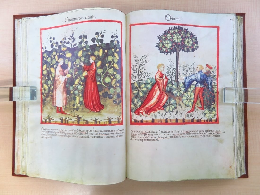 Facsimile Tacuinum sanitatis in medicina. Codex Vindobonensis Series Nova 2644 (1 of 9)