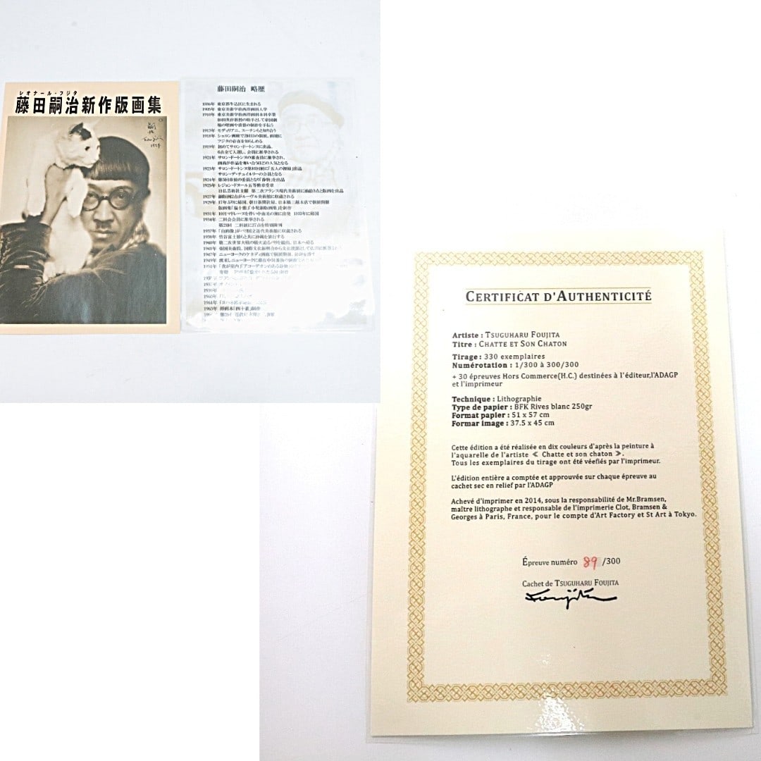 Framed Tsuguharu Foujita Mother & Child Cat Original Lithograph 89/ 300 COA - 9