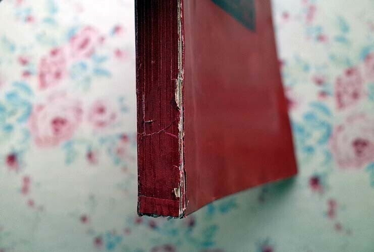 Ferm la Nuit 1925 Illustrated by Jules Pascin Original Etching - PAUL MORAND - 9