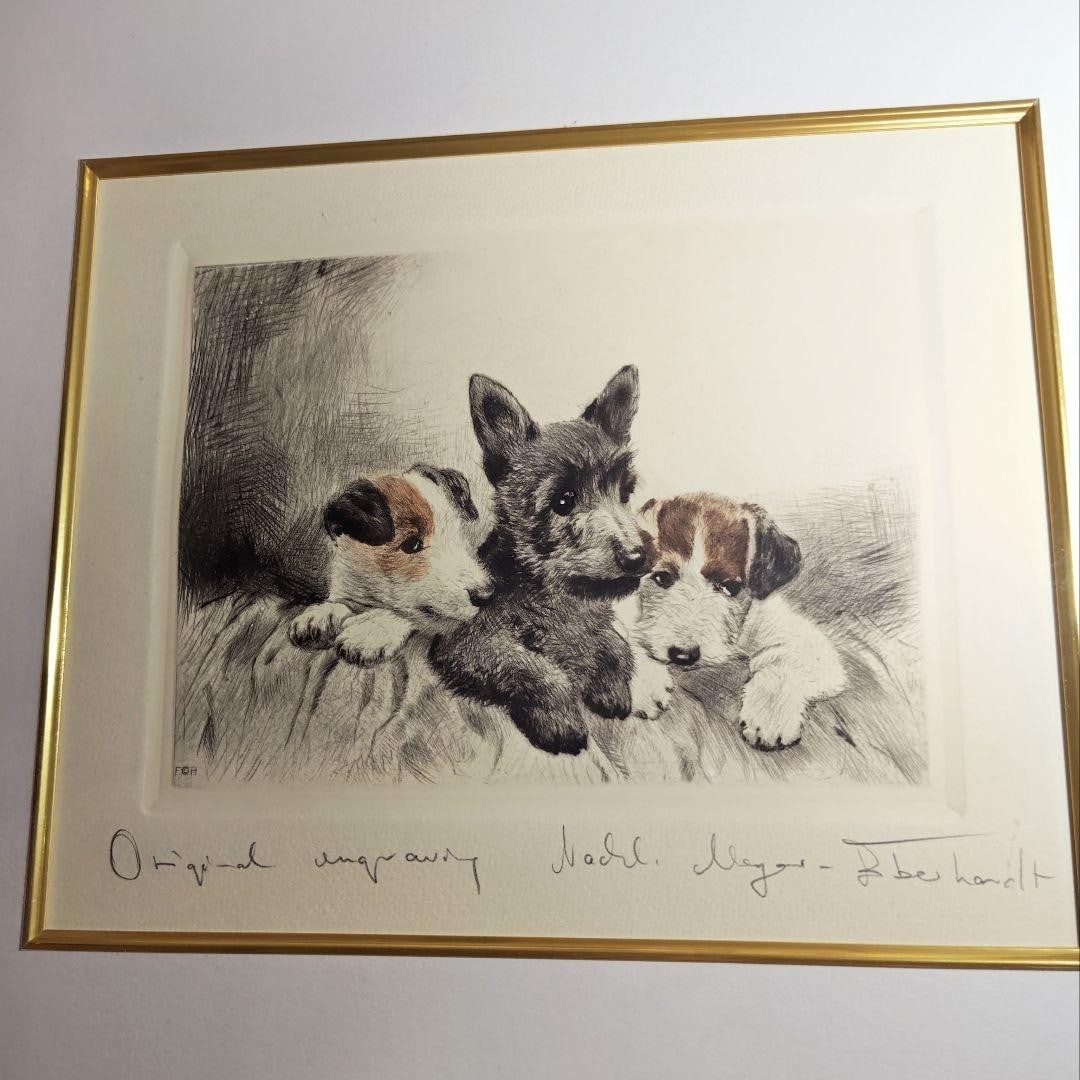 Framed Kurt Meyer-Eberhardt Puppies Etching Hand-Colored Original Engraving - 3