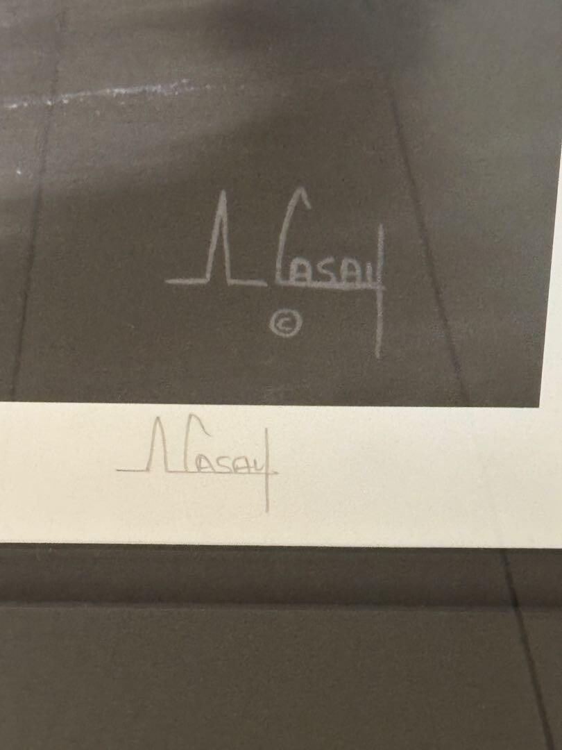 250 Anthony Casay "Midnight Silhouette" Edition Autographed Framed 205/ - 9